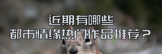 近期有哪些都市情緣熱門作品推薦？